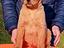 Immagine 1
