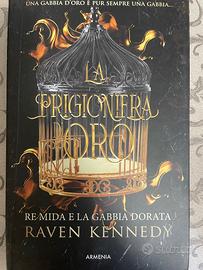 saga fantasy raven kennedy