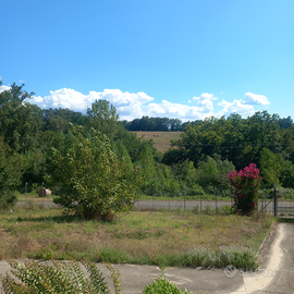 Collina di 8 ettari ad Arce(FR)