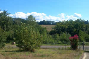 Collina di 8 ettari ad Arce(FR)