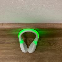 Led Shoe Light