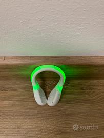 Led Shoe Light