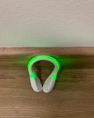 Led Shoe Light