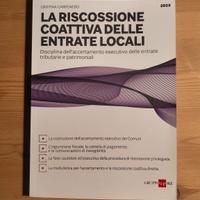 La riscossione coattiva delle entrate locali