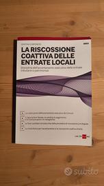 La riscossione coattiva delle entrate locali