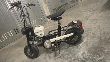 Benelli Altro modello - 1971