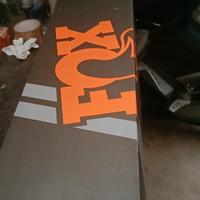 Forcelle Fox 36 Rhythm