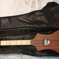 Seagull M4 Merlin dulcimer chitarra
