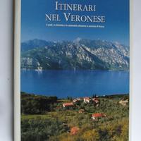 Itinerari nel Veronese