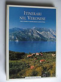 Itinerari nel Veronese