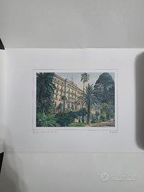 collezione cartoline