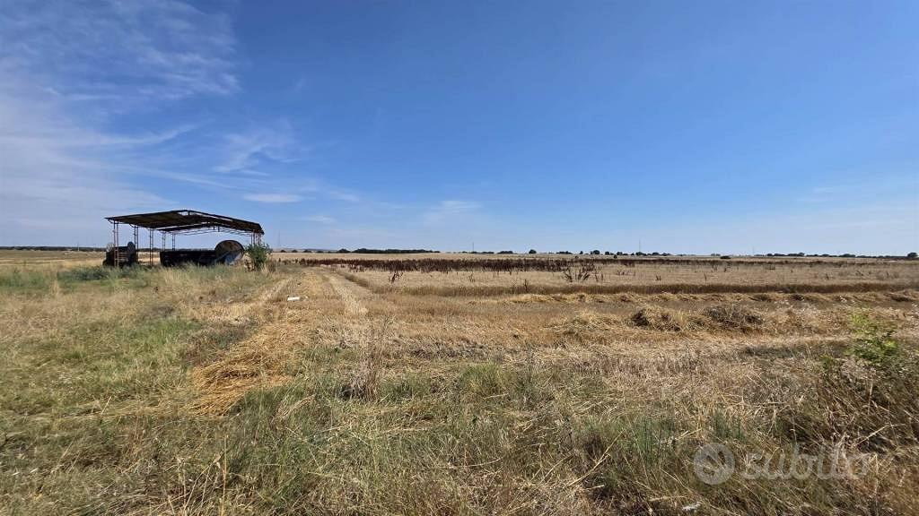 Pozemok, 100150 m²