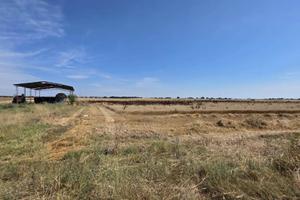 Terreno di 100150 m² a Montalto di Castro