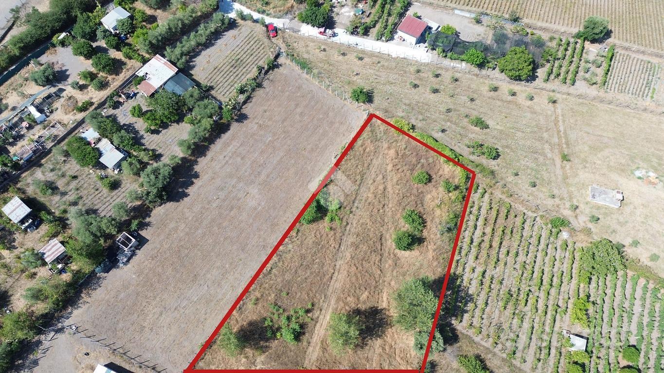 TERRENO A POLLENA TROCCHIA - Vista 3