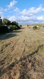 Terreno agricolo 3740 m2 selargius "BACCU MAIORI"