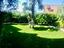 Immagine 10