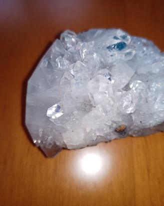 Celestina 
