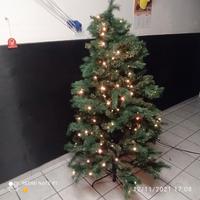 Albero di Natale 