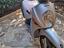 Immagine 2