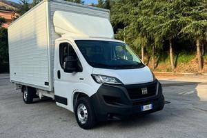 Fiat Ducato Cassonato