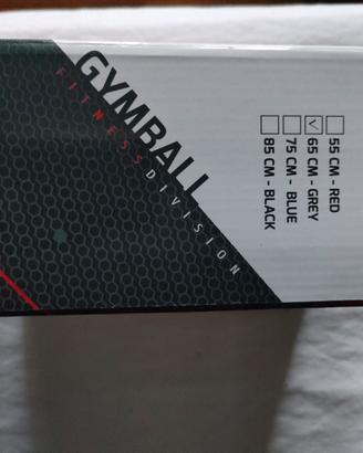 Gym ball pilates
