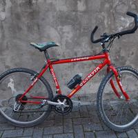 Bicicletta Olympia Leopard