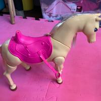 Cavallo delle Barbie