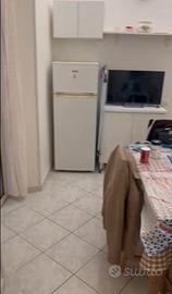 Piccolo appartamento con una stanza