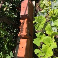 Vasi da fiore in terracotta