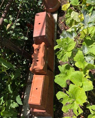 Vasi da fiore in terracotta