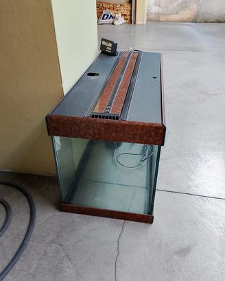 acquario 
