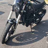 Benelli LEONCINO 500 TRAIL