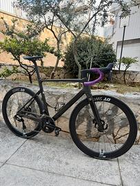 Bdc Focus IZALCO MAX 9.9 2025