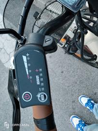 bicicletta elettrica pedalata assistita 
