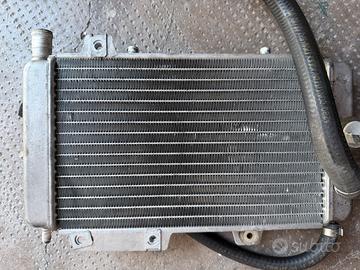 Radiatore gilera runner 125 2t