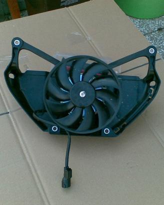 Honda Hornet 600 2007-11
