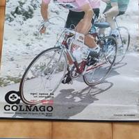 Colnago Saronni