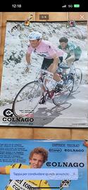 Colnago Saronni