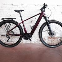 E-Bike Lee Cougan Edge Tour