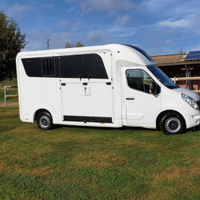 Van trasporto cavalli Stx patente b