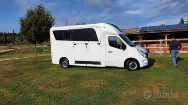 Van trasporto cavalli Stx patente b