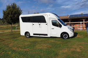 Van trasporto cavalli Stx patente b