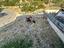 Immagine 18