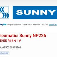 Pneumatici Sunny NP226 195/55 R16 91V