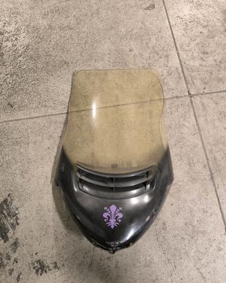 Yamaha majesty 250 parabrezza