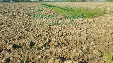 Terreno Agricolo a Casier - 3 Ha