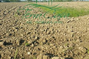 Terreno Agricolo a Casier - 3 Ha