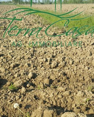Terreno Agricolo a Casier - 3 Ha