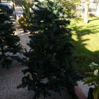 Albero di natale