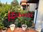 Immagine 12